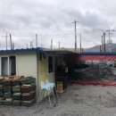 구산면618 이미지