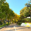 초록산산림욕장 이미지