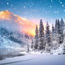 기초 생활영어 이미지