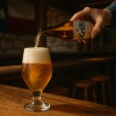 Kelly(켈리) 이미지