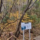 송지송호초교 이미지