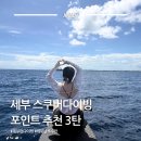 포인트 | 세부 막탄 스쿠버 다이빙 포인트 | 세부 날루수안 섬 후기