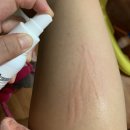 플럭스컴