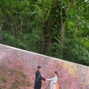 계명산자연휴양림 이미지