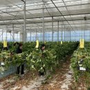 문화체육시설사업소 이미지