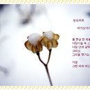 조아비나