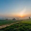 일출목장 이미지