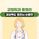 영주시순흥면보건지소 | 경상북도 영주시 순흥면 교정치과 총정리