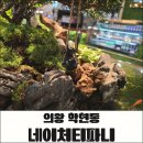 호수수족관 - 영주시 선비로 131 | 의왕 백운호수 카페 네이처티파니 후기, 아이랑 가기 좋은 테라리움 수족관 카페