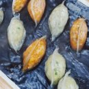 고천24우동짜장 이미지