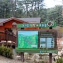 잣향기푸른숲 축령백림관 이미지