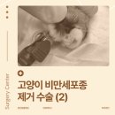 녹번동물병원 이미지