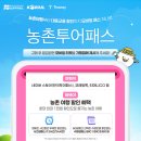 하나고속투어