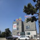 고성수산횟집 | 속초 횟집 캠핑의 완성, 비치수산회센터 고성본점 모듬회 맛집 포장 후기