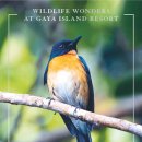 내츄럴원더스 이미지