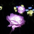 네네치킨표선점