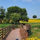 구미강정 이미지