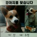 서흥초교 이미지