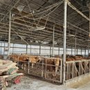 논산계룡축협 동물병원 이미지