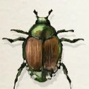 성채농원 이미지