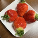 분당삼평-D-17 | 분당서울대병원 산부인과 출산 전 마지막 외래 진료와 일상