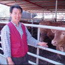 청정한우 이미지