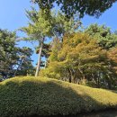 [11편] 2025년10월28일 화요일 금강천리길 14코스를 다녀와서! 이미지