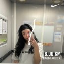 효자4동-07(교촌치킨 앞) | 베트남 다녀왔더니 갑분 봄바람 휘날리며 흩날리는 벚꽃 잎이