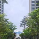 중흥이편한공인중개사사무소 네이버블로그