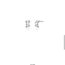 러스터(LUSTER) 이미지