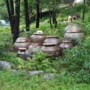 계룡가든 이미지