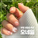 함박이네 애견샵 | 부평네일 부평네일샵 추천 오네일