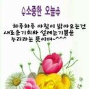 자연농장건강원 - 강진군 신마길 16-2 | 자연농장건강원