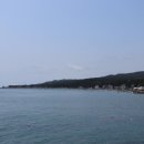 정자항 공원 이미지