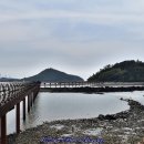 팔도강산 이미지