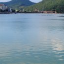 세포마을 이미지