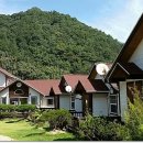 라스텔라편백숲 이미지