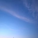 (주) 폰티스