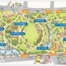 지도 왕벚나무길 이미지