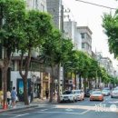 가로수길 이미지