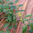 국희농장 이미지