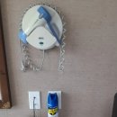 호텔펄리플러스 이미지