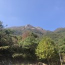 더숲 이미지