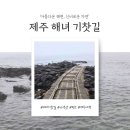행정용 27번 | 여행 일지) 🚂 제주 숨은 인생샷 명소, '해녀 기찻길' 다녀왔어요 (위치·주차·촬영팁 총정리)