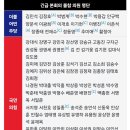 월담한 국회의원들 영상 화재 및 표결 불참 의원들 불참 사유 이미지