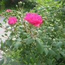 꽃소아청소년과의원 이미지