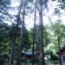 삼봉전자 이미지