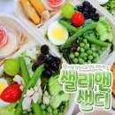 샐리앤샌디