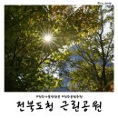 전라북도청 농구장 | 전주 공원 가볼만한곳 마전숲 근린공원 바닥분수 놀이터