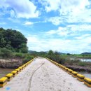 월송정月松亭 이미지